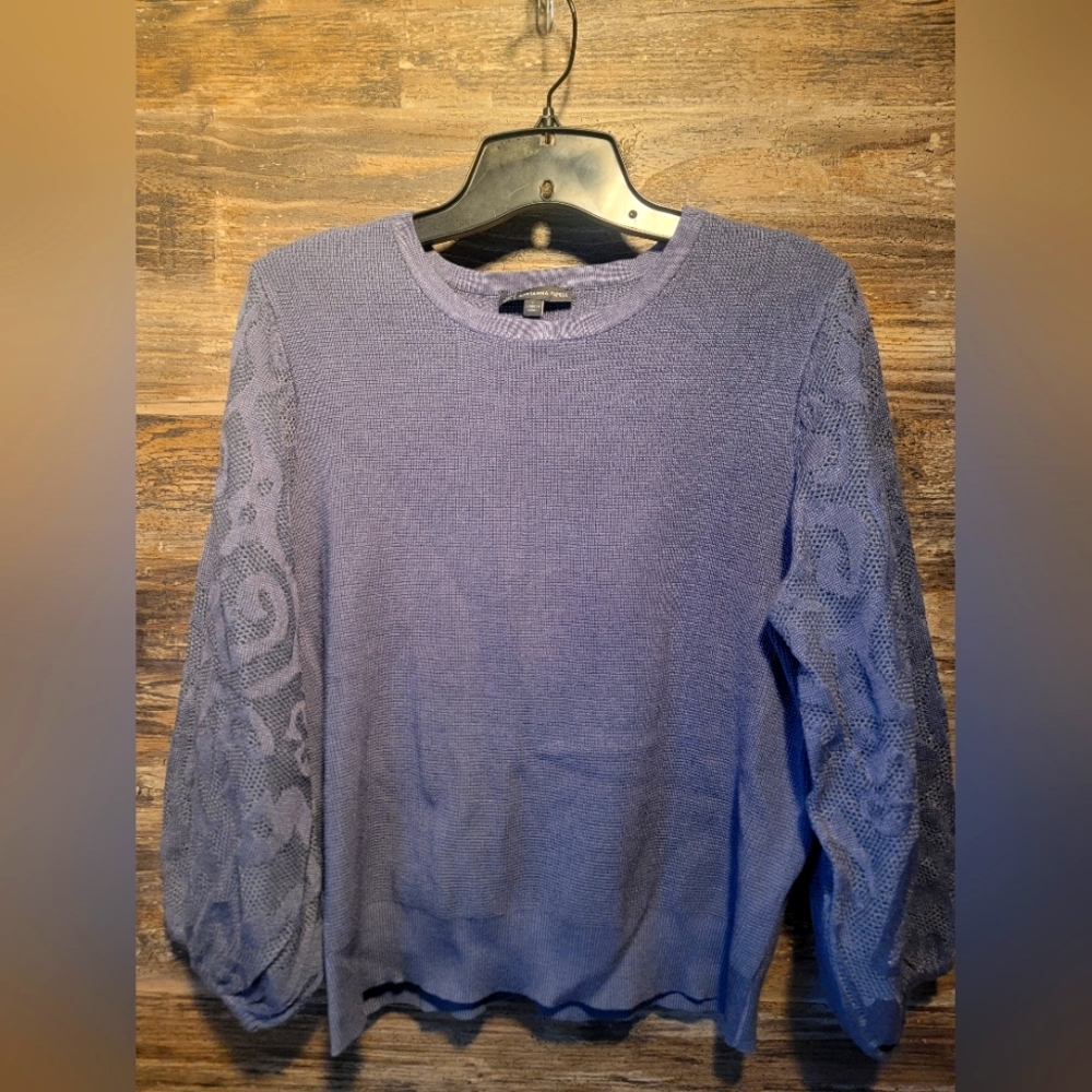 Adrianna Papell Crew Neck Sweater with 3/4 Mesh Sleeves Dusty Blue Sz Large EUC